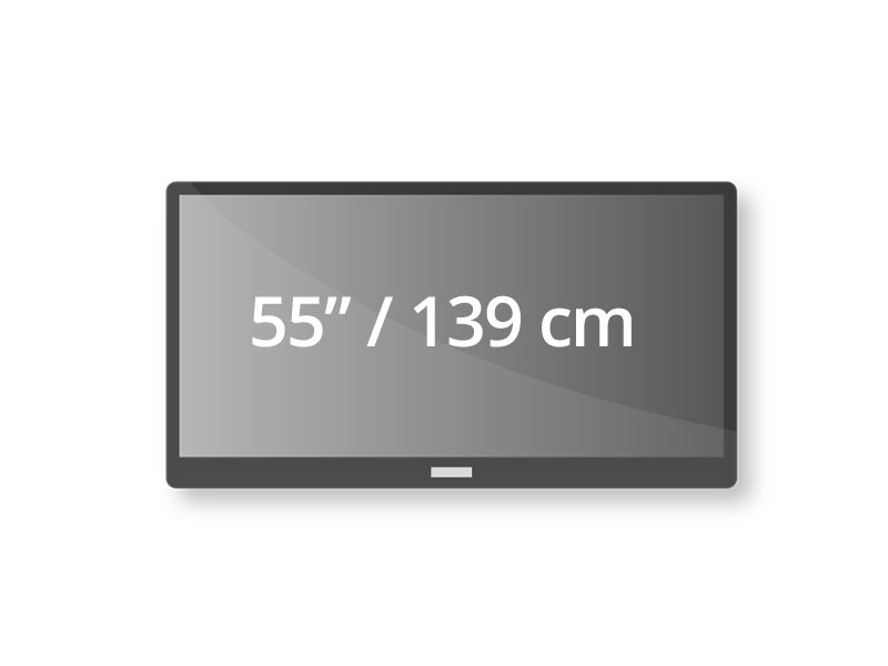 Video-Monitor 55